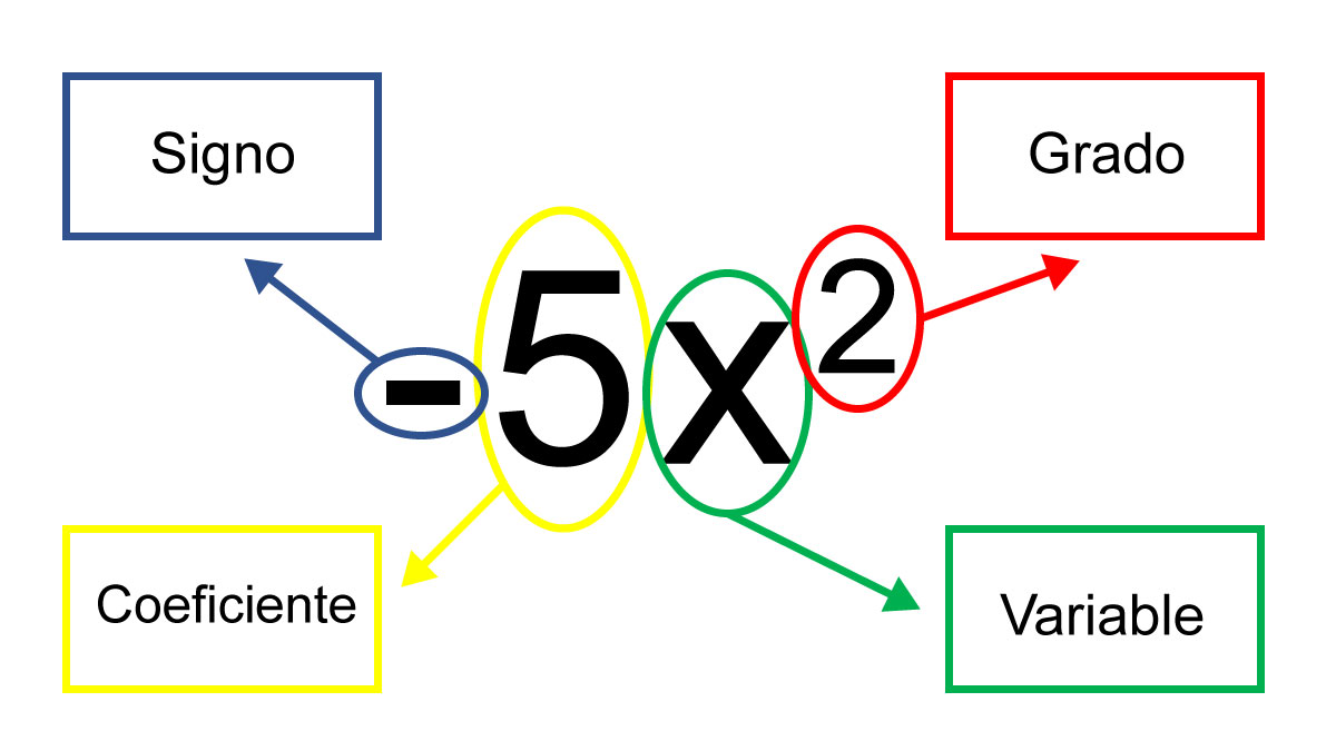 Las Expresiones Algebraicas 4 Tipos Con Ejemplos