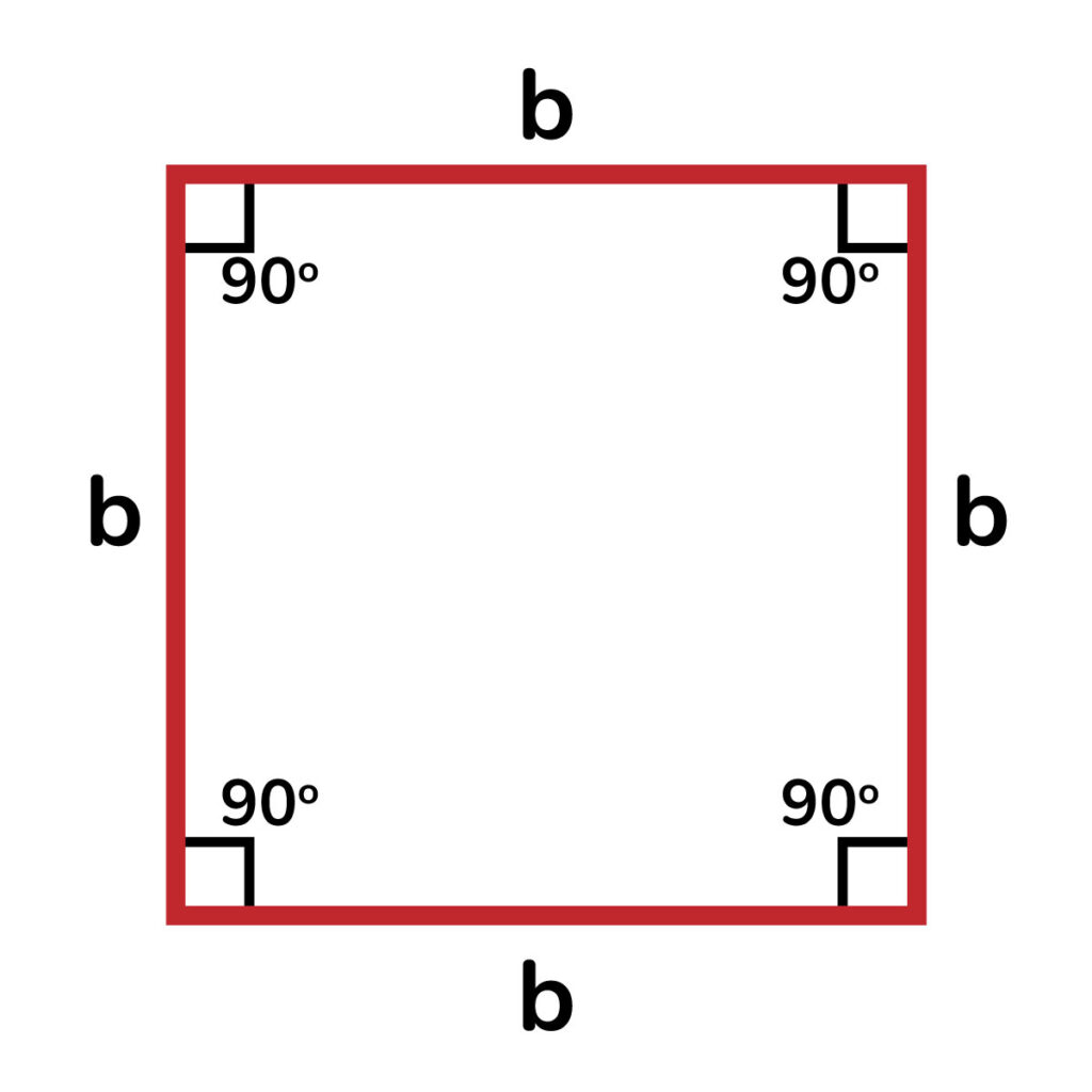 Ejercicio Área y perímetro de un cuadrado